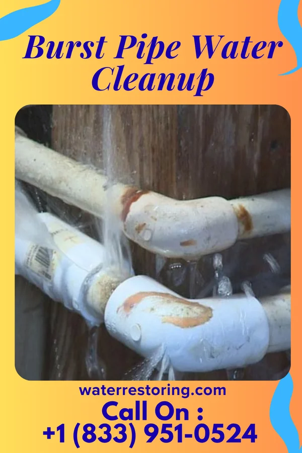 Burst Pipe Water Cleanup in Washington Grove, MD