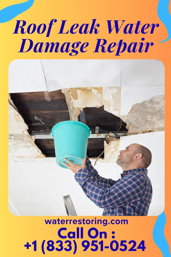 Roof Leak Water Damage Repair in Washington Grove, MD