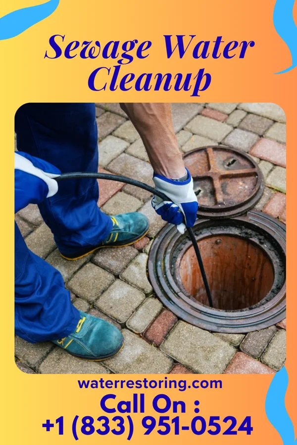 Sewage Water Cleanup in Washington Grove, MD