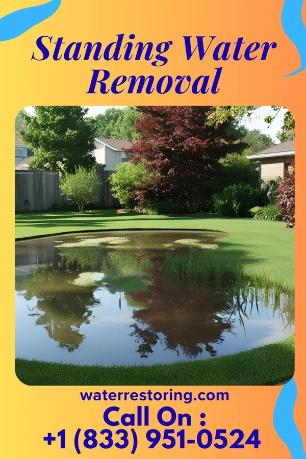 Standing Water Removal in Washington Grove, MD
